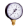 Druckmesser - Manometer Ø 50 MM Radial 1/4" AG 0-10 Bar
