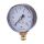 Druckmesser - Manometer Ø 50 MM Radial 1/4" AG - Selbstdichtend mit PTFE-Dichtring 0-16 Bar