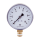 Druckmesser - Manometer Ø 50 MM Radial 1/4" AG - Selbstdichtend mit PTFE-Dichtring 0-16 Bar