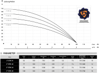 Tiefbrunnenpumpe STM28 3" Sandverträglich; 1500 Watt; 6000l/h 10,8 Bar 60,00 m mit Stecker