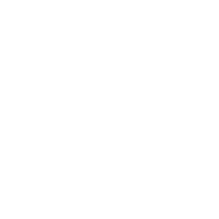 Ventilbox vormontiert Jumbo 12 Zonen mit Hunter PGV Magnetventilen inkl. Ausblasventil für Druckluft-25 mm