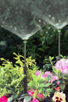 Micro Spray Jet Winged